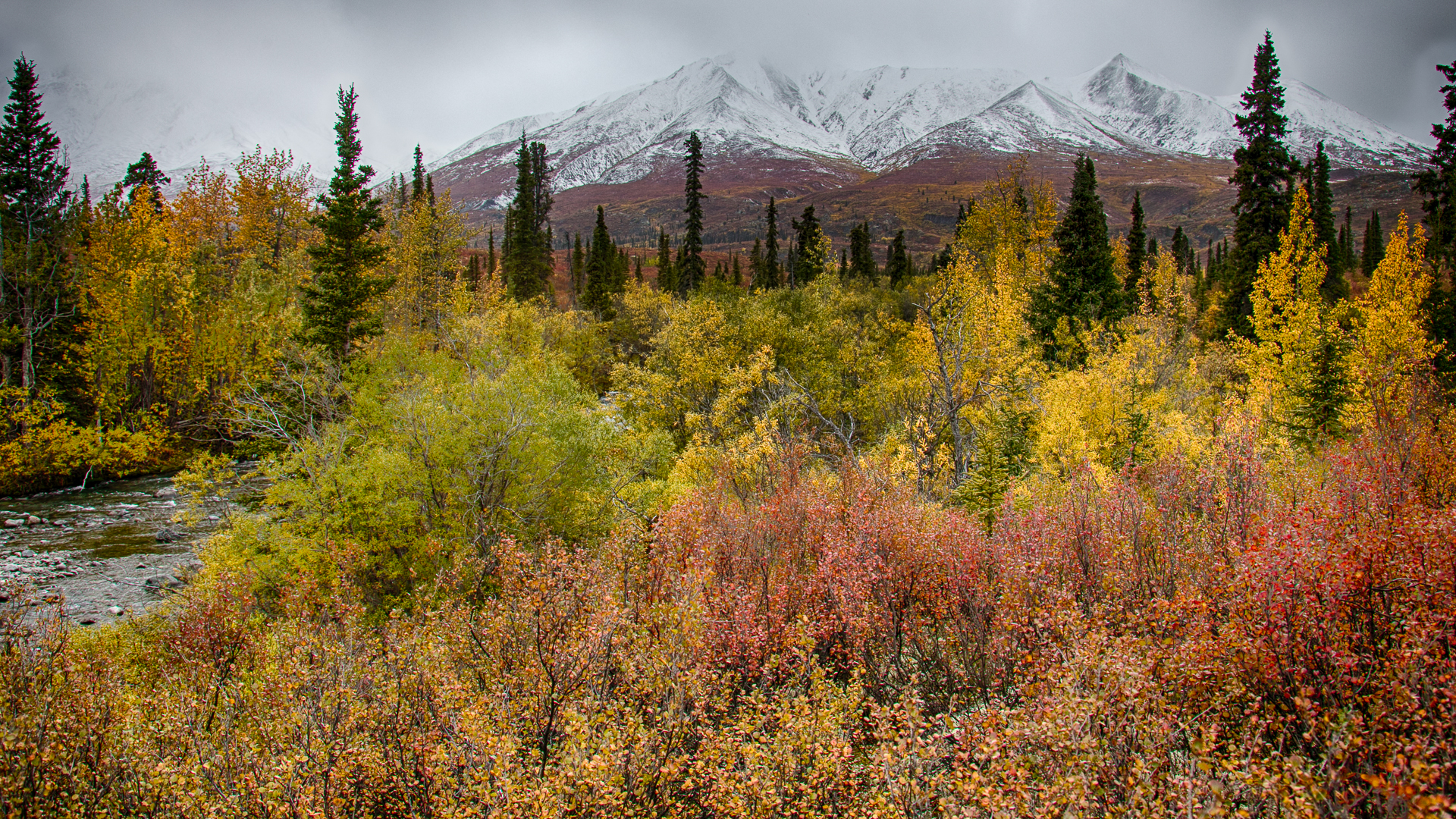 Yukon D11-51.jpg