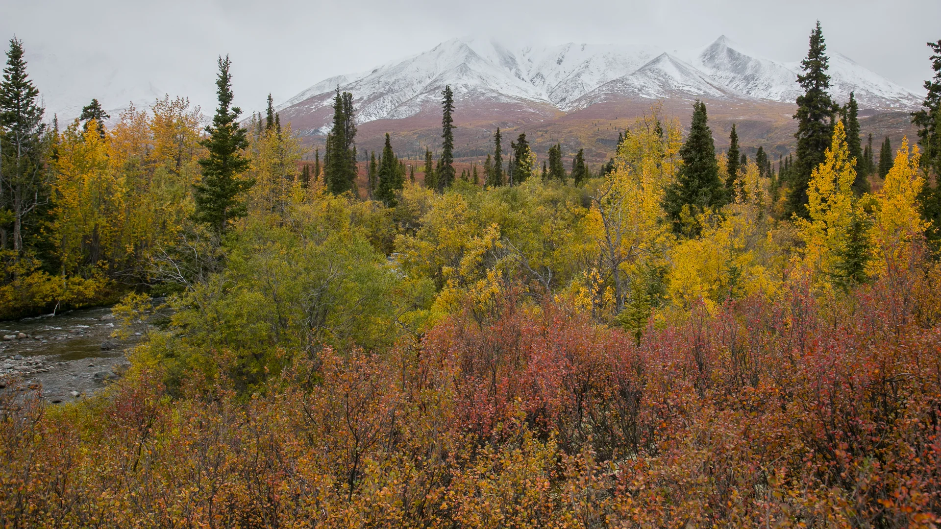 Yukon D11-52.jpg