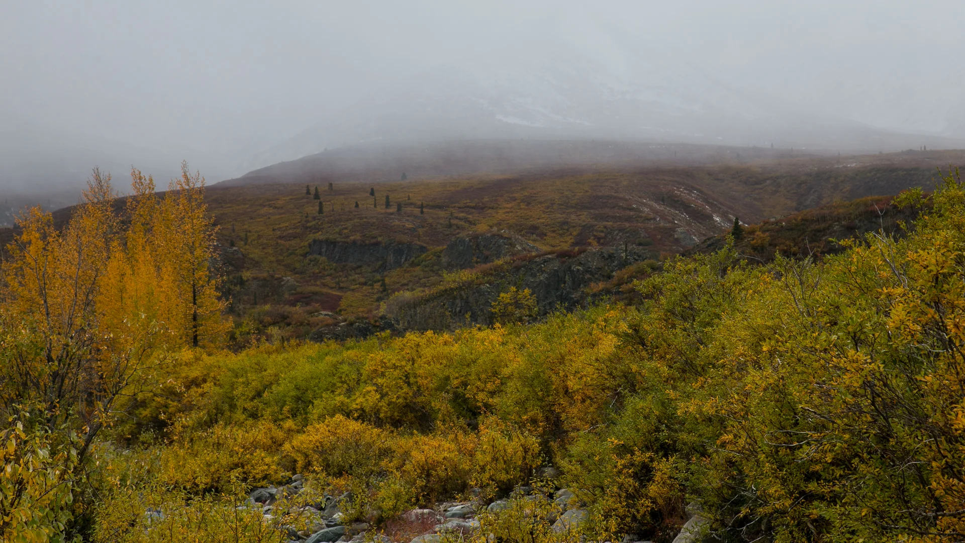 Yukon D11-69.jpg