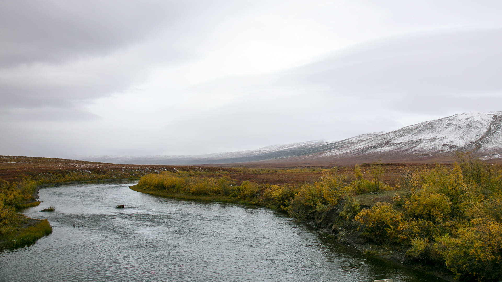 Yukon D12-2.jpg