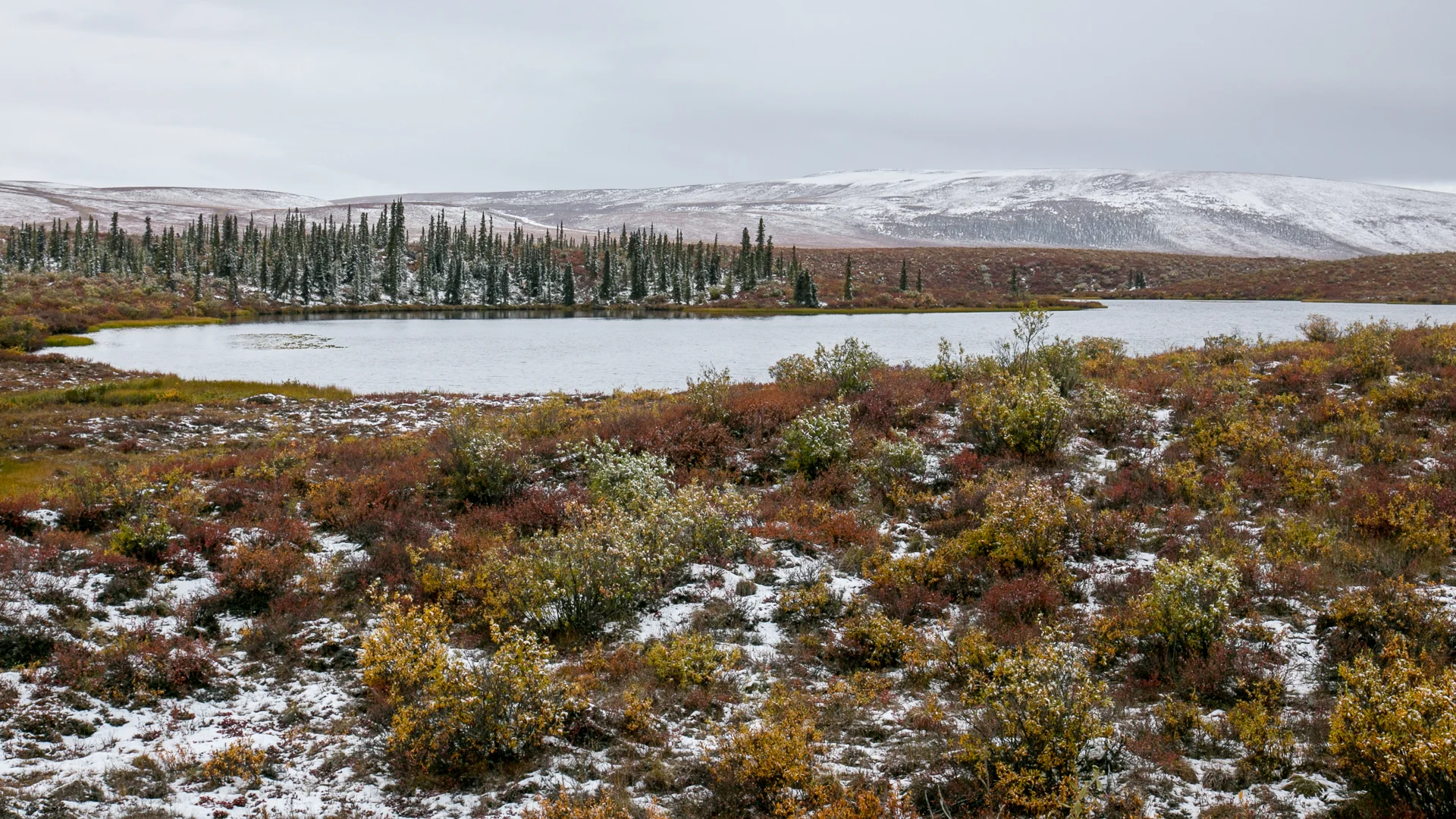 Yukon D12-5.jpg
