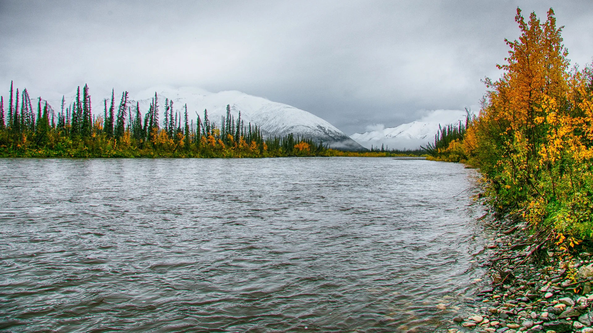 Yukon D12-9.jpg