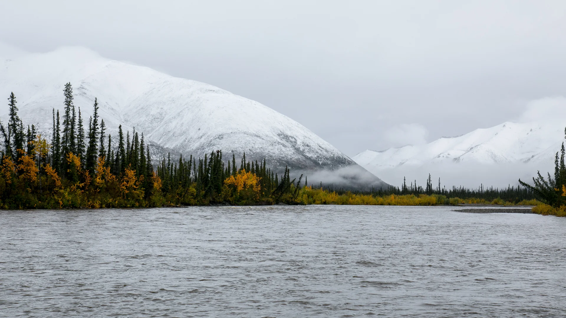 Yukon D12-10.jpg