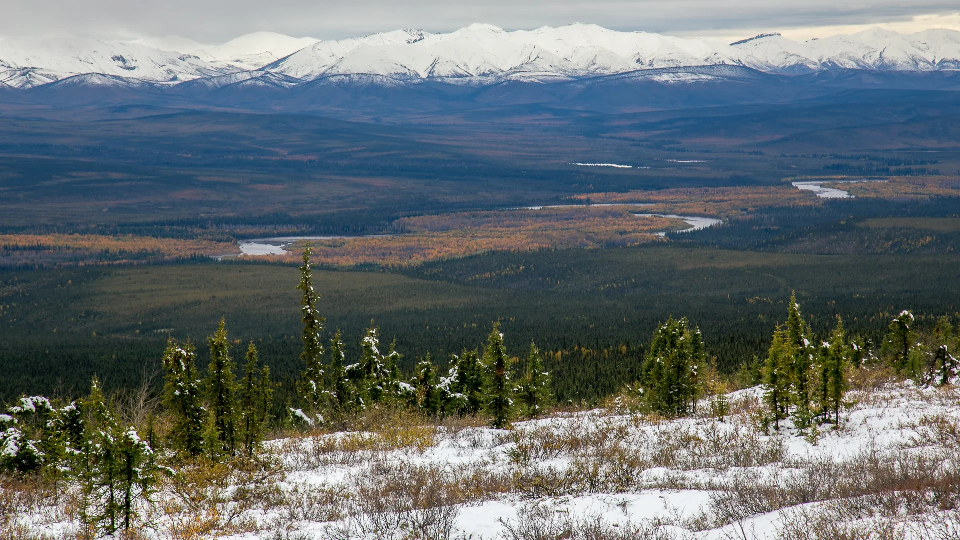 Yukon D12-32.jpg
