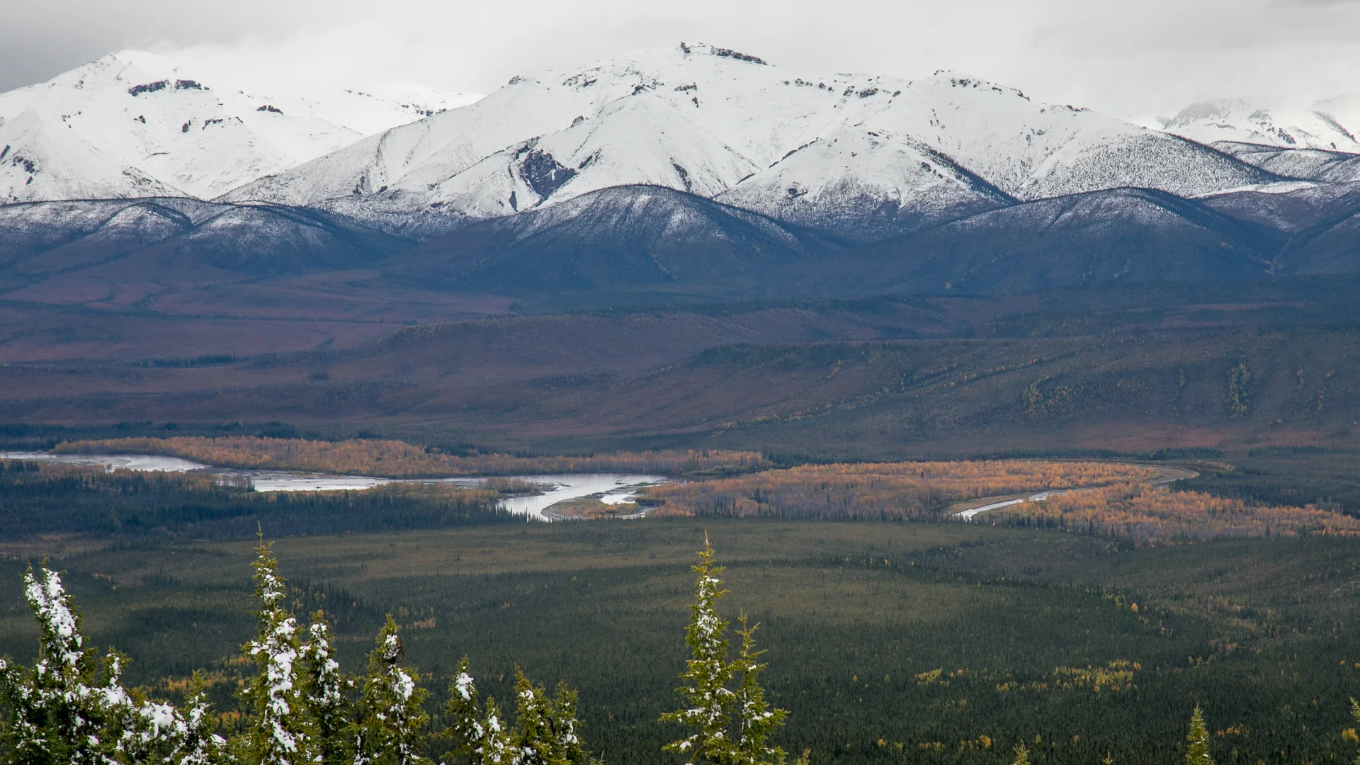 Yukon D12-36.jpg