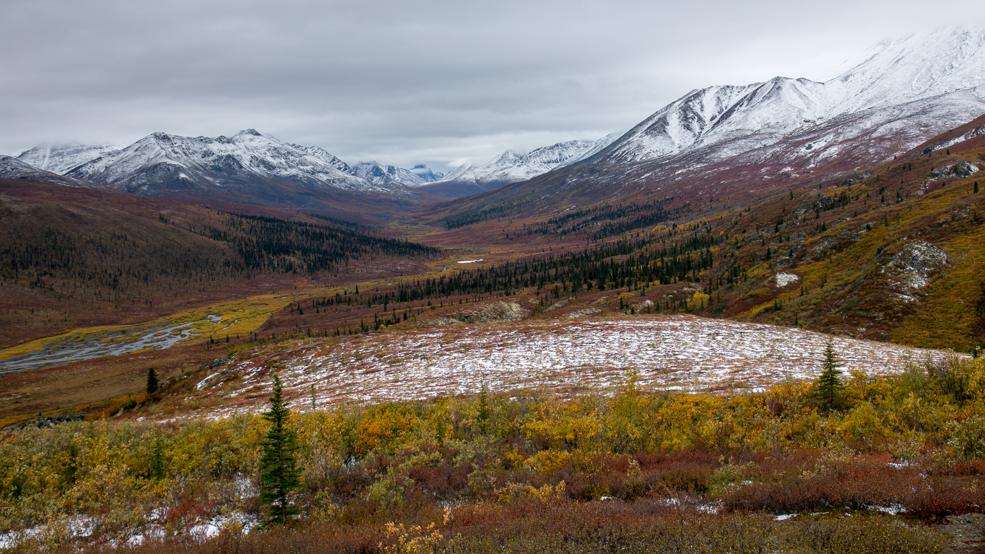 Yukon D13-4.jpg