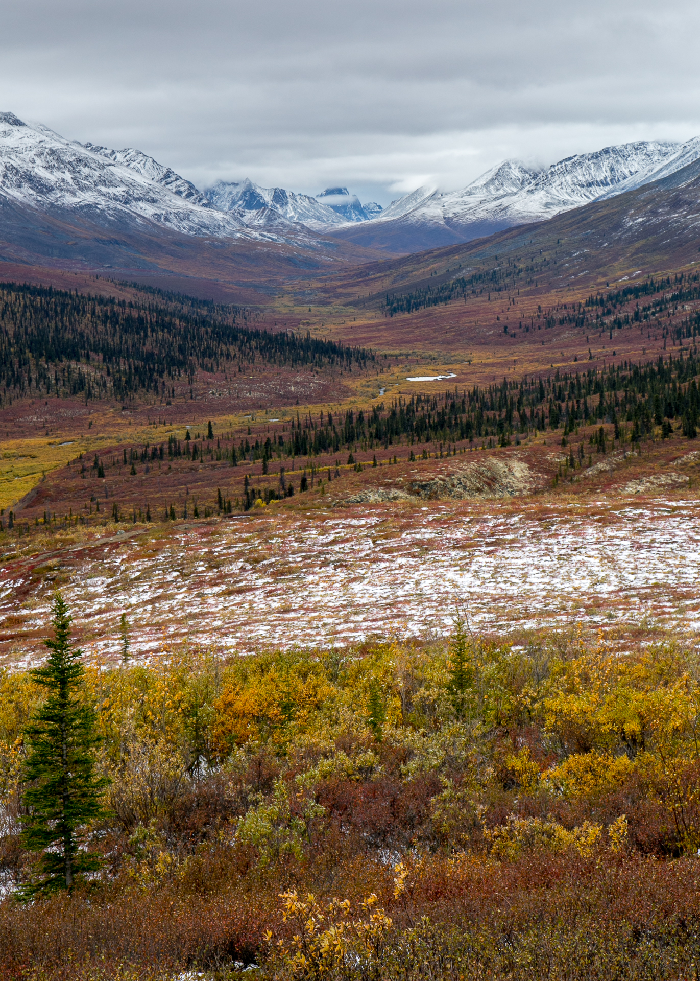 Yukon D13-5.jpg