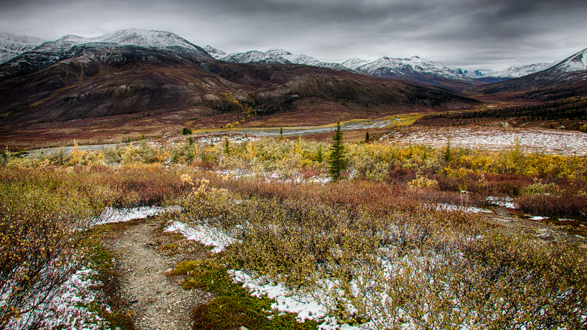 Yukon D13-15.jpg
