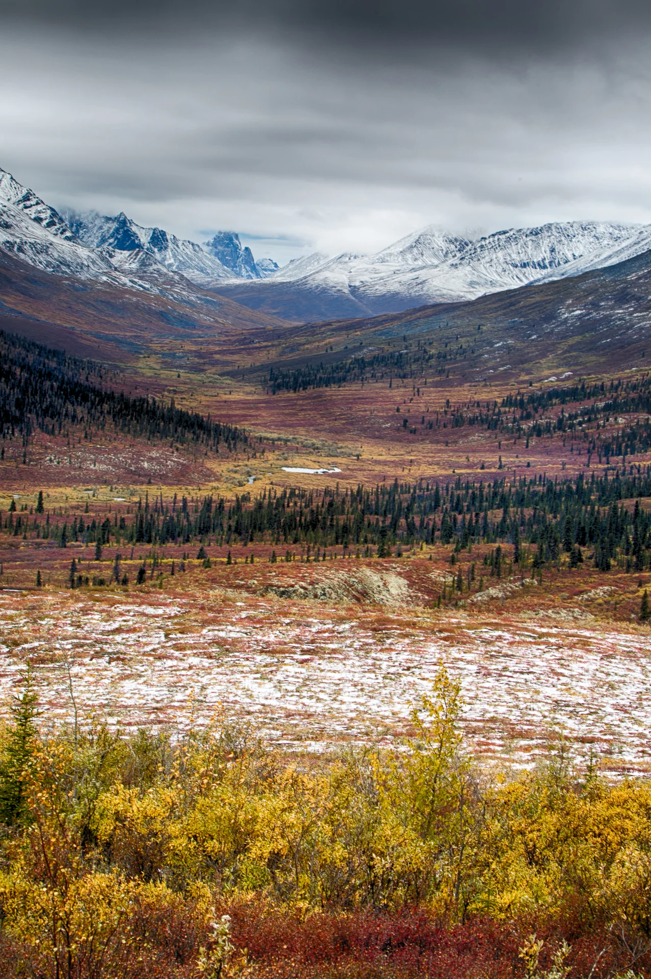 Yukon D13-16.jpg