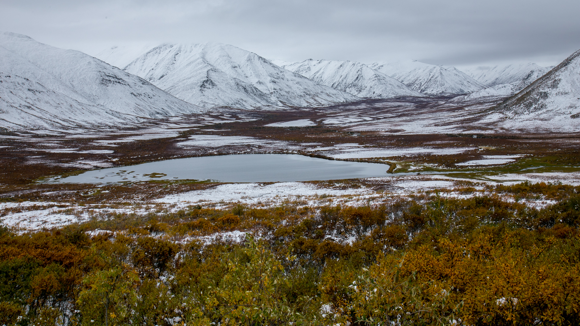Yukon D13-19.jpg
