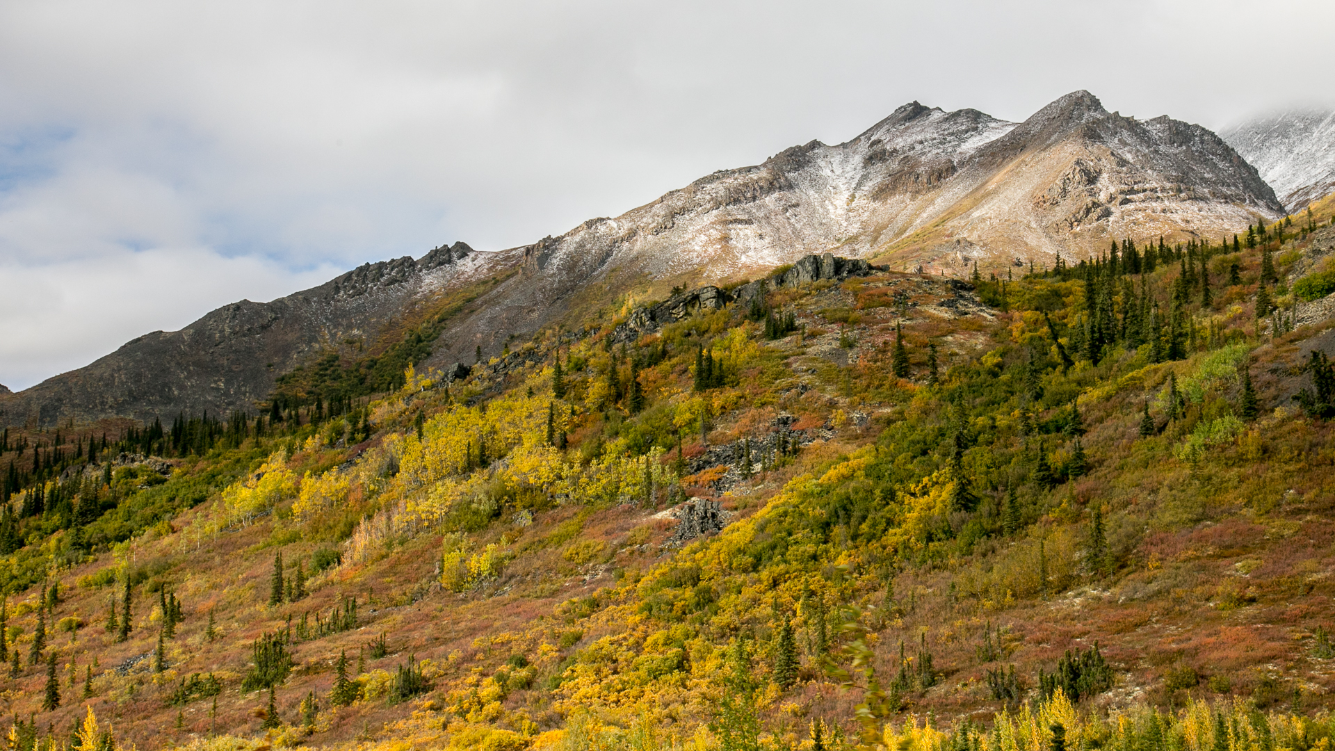 Yukon D13-34.jpg