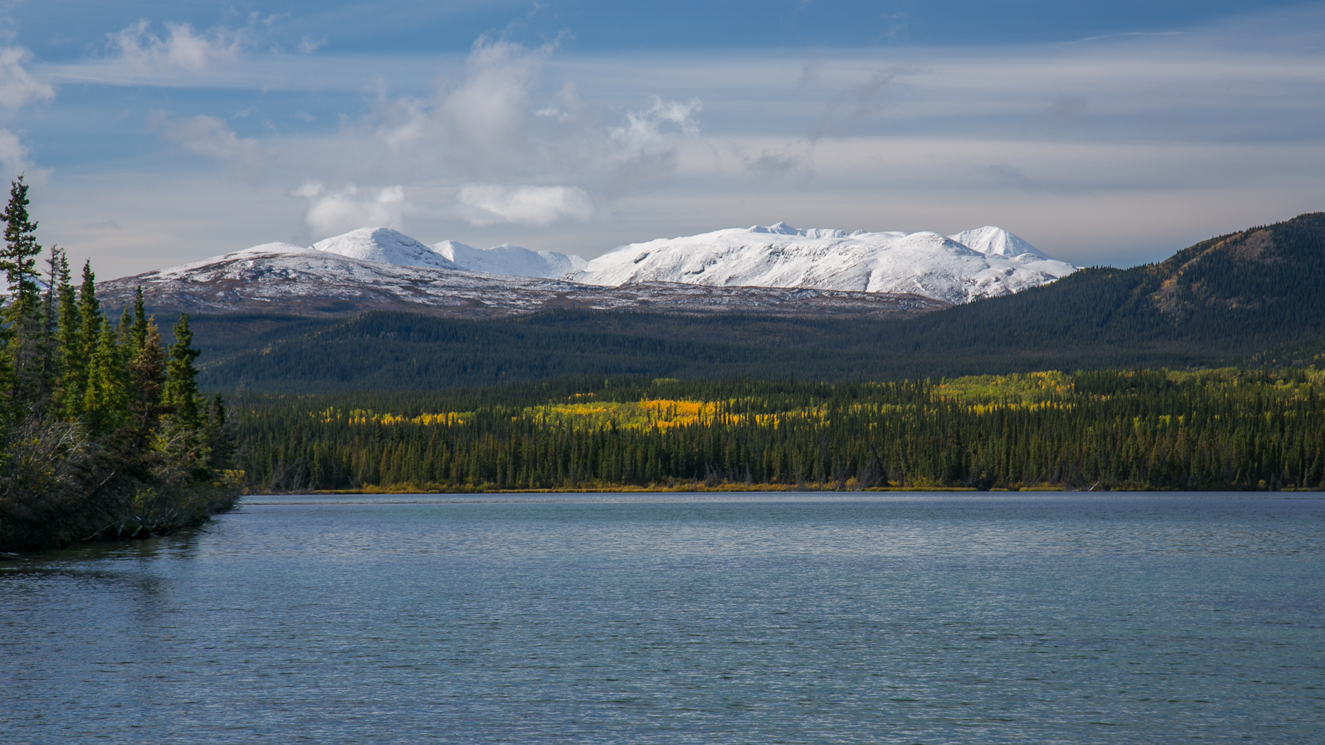 Yukon D14-11.jpg