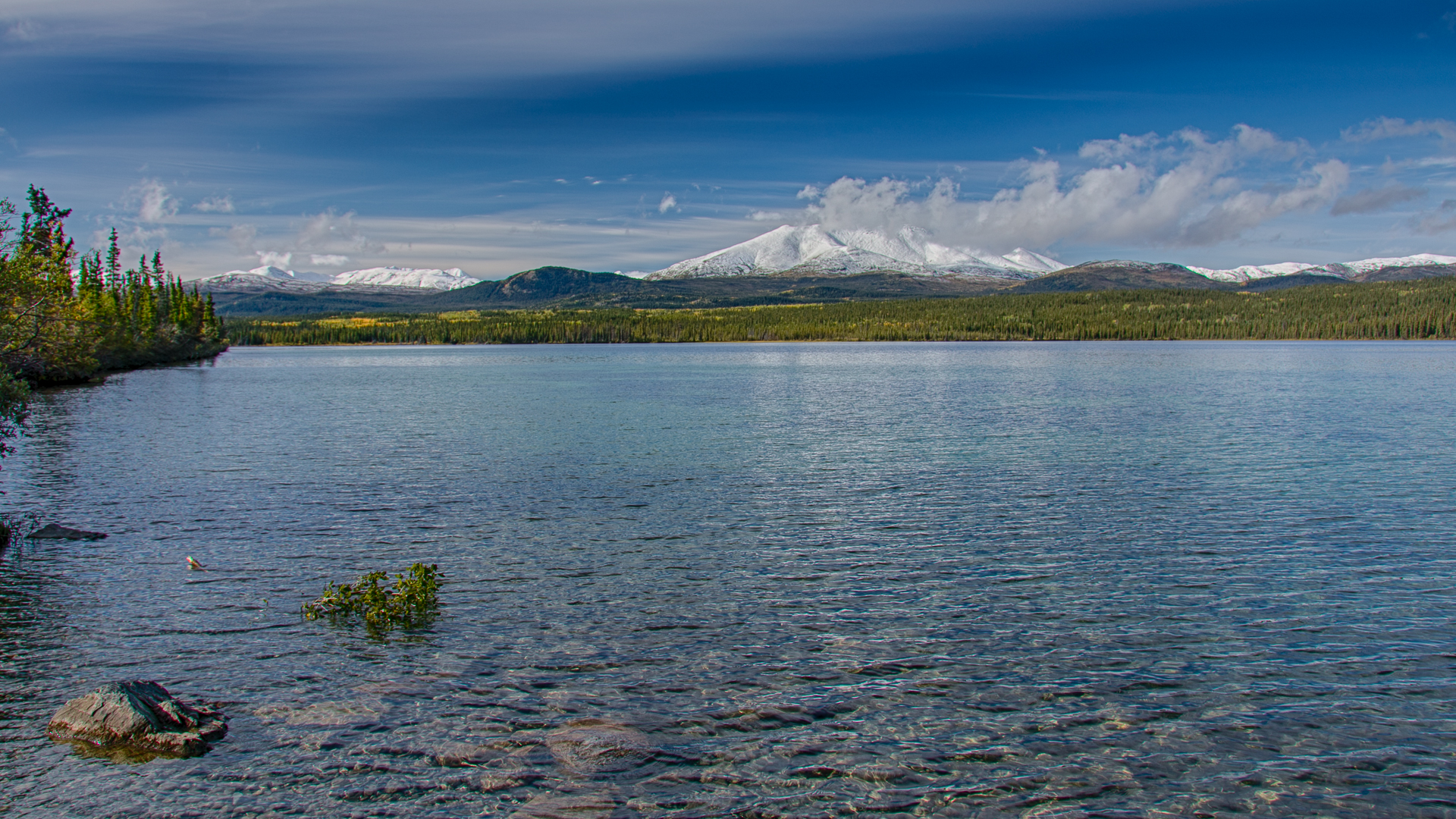 Yukon D14-12.jpg