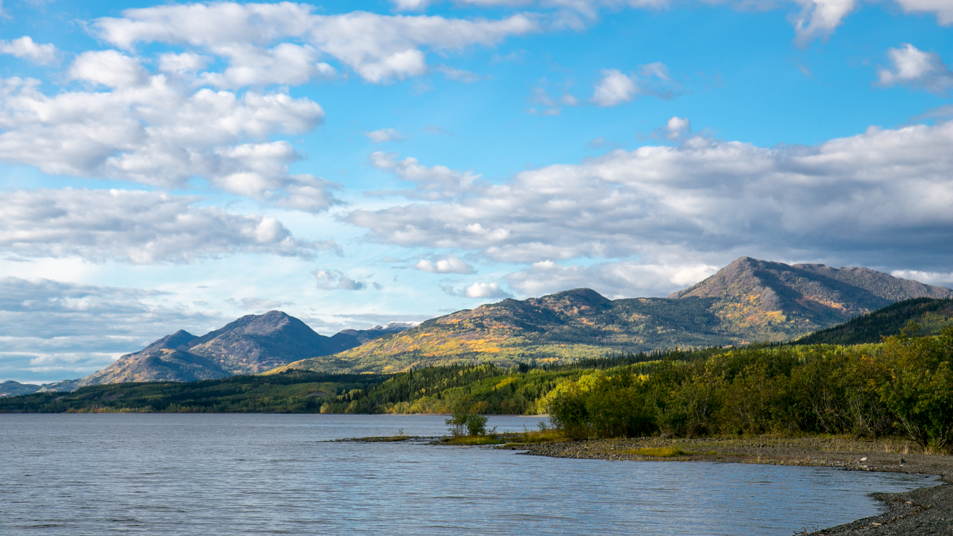 Yukon D14-32.jpg
