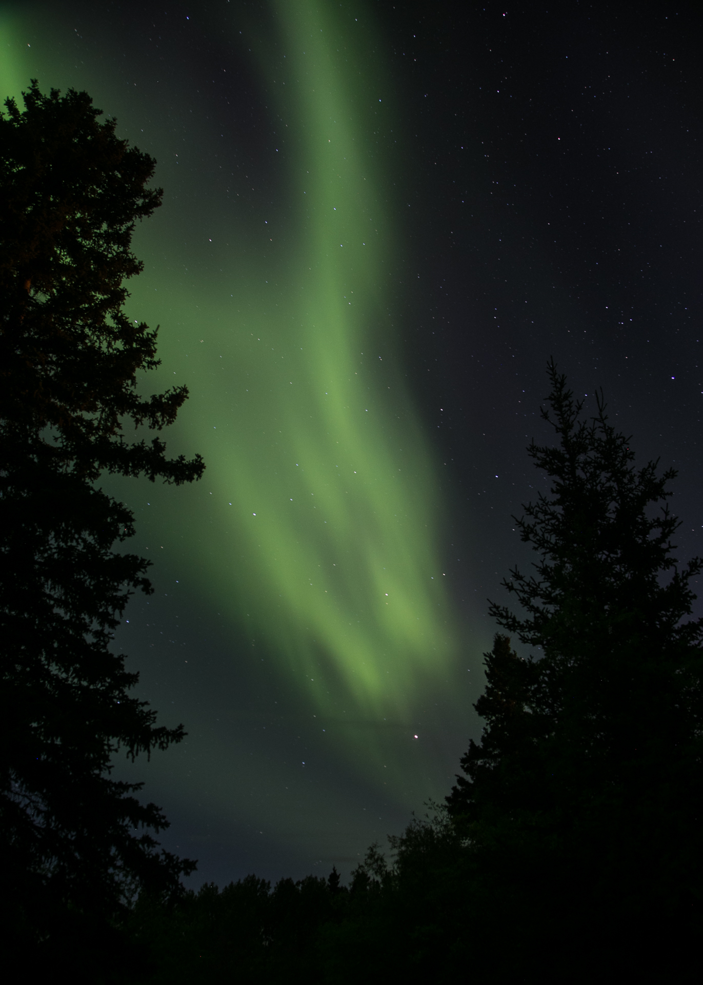 Yukon D14-43.jpg