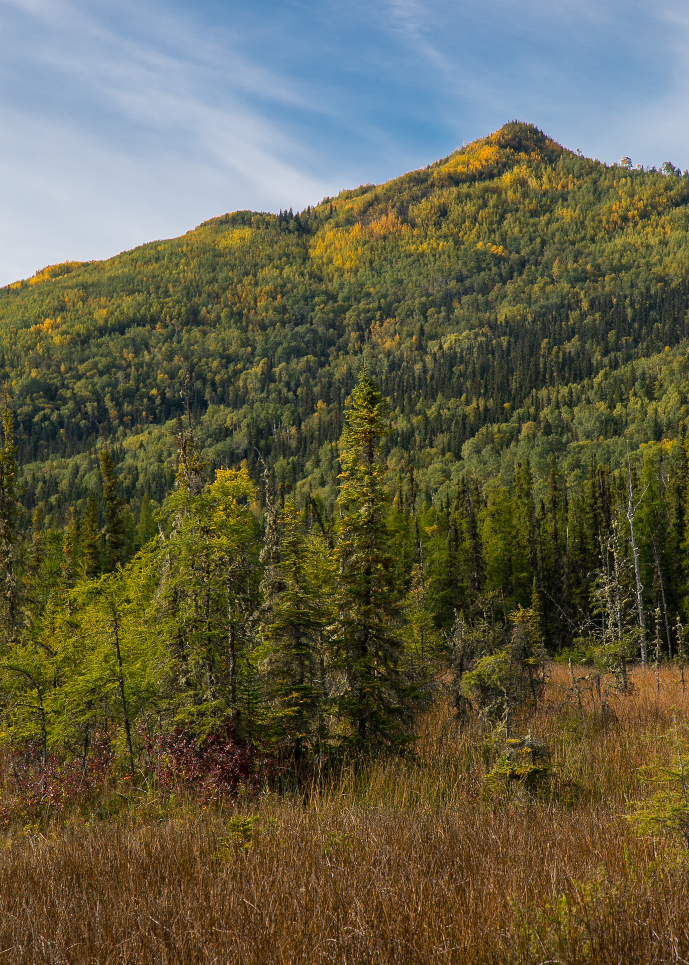 Yukon D15-52.jpg