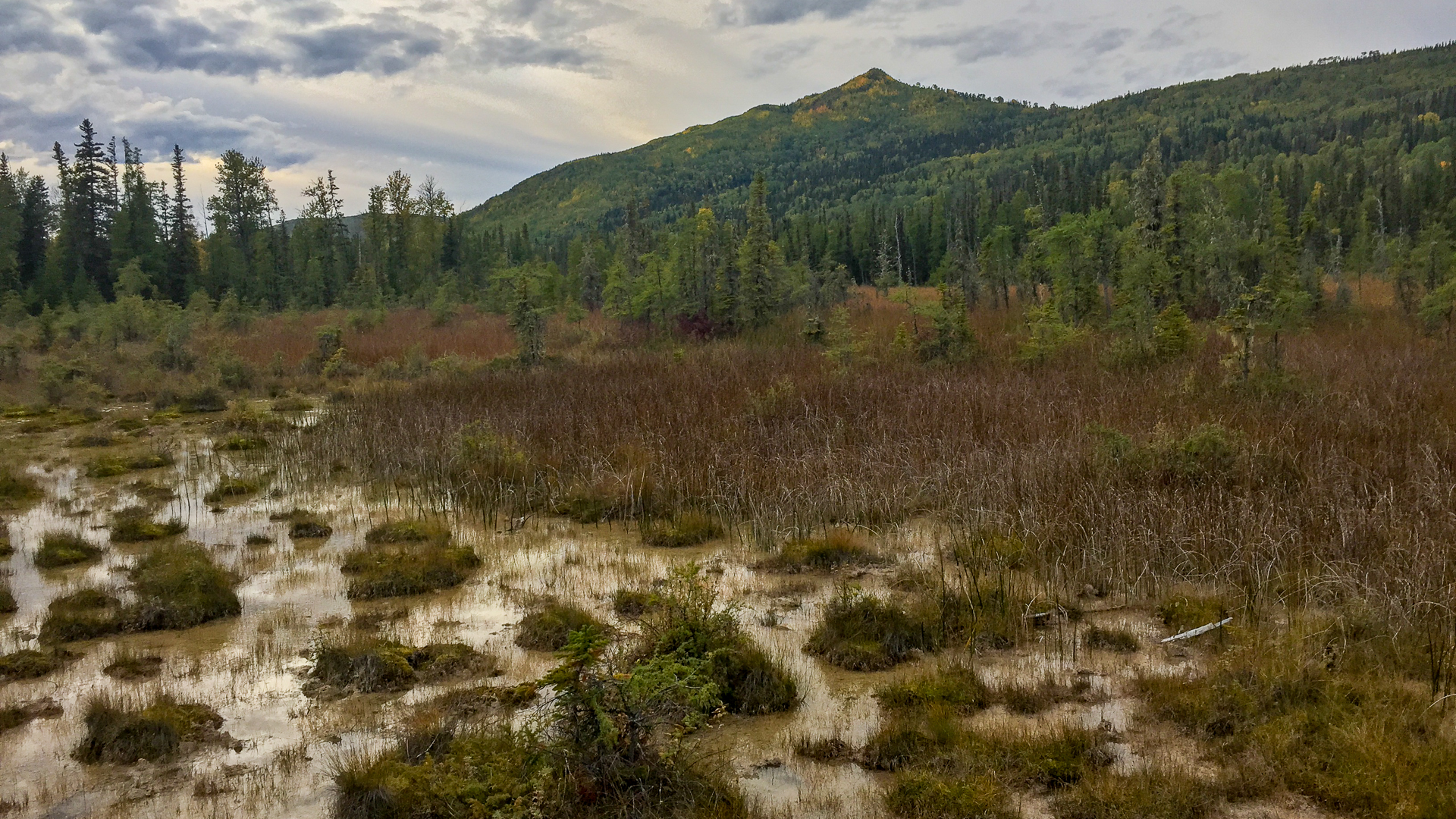 Yukon D15-64.jpg