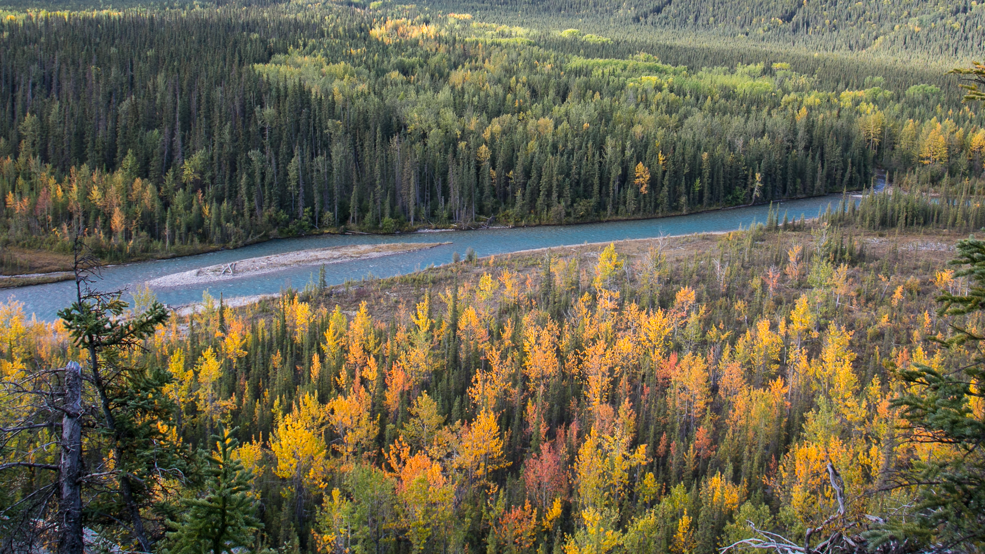 Yukon D16-13.jpg