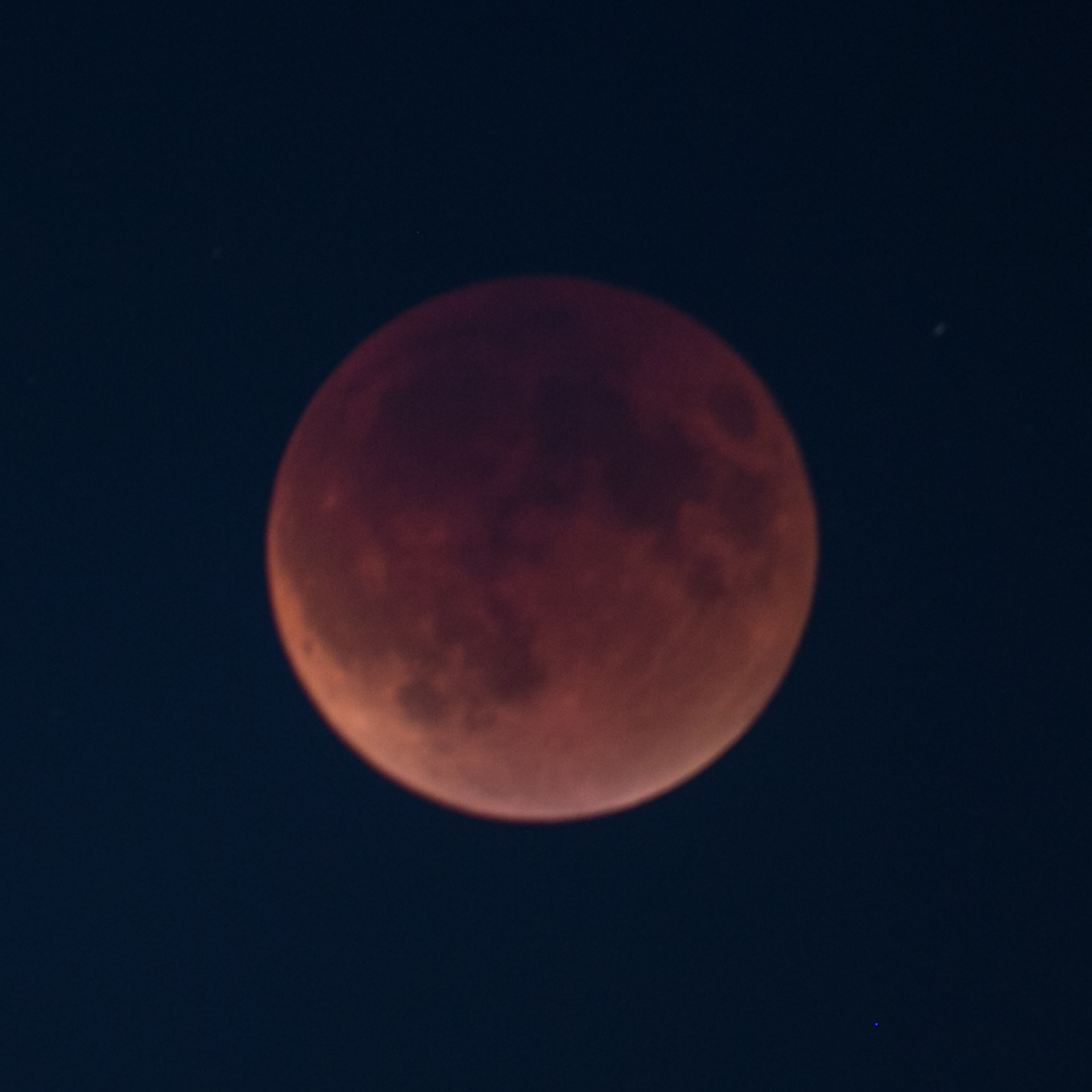 Reifel Moon Eclipse-28.jpg