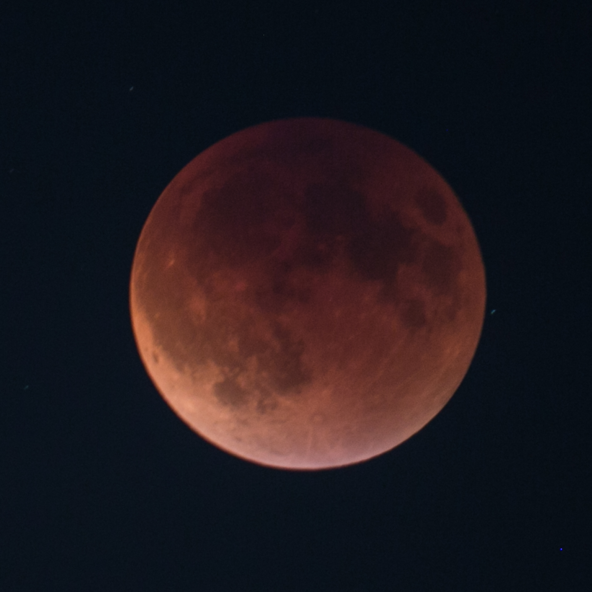 Reifel Moon Eclipse-29.jpg