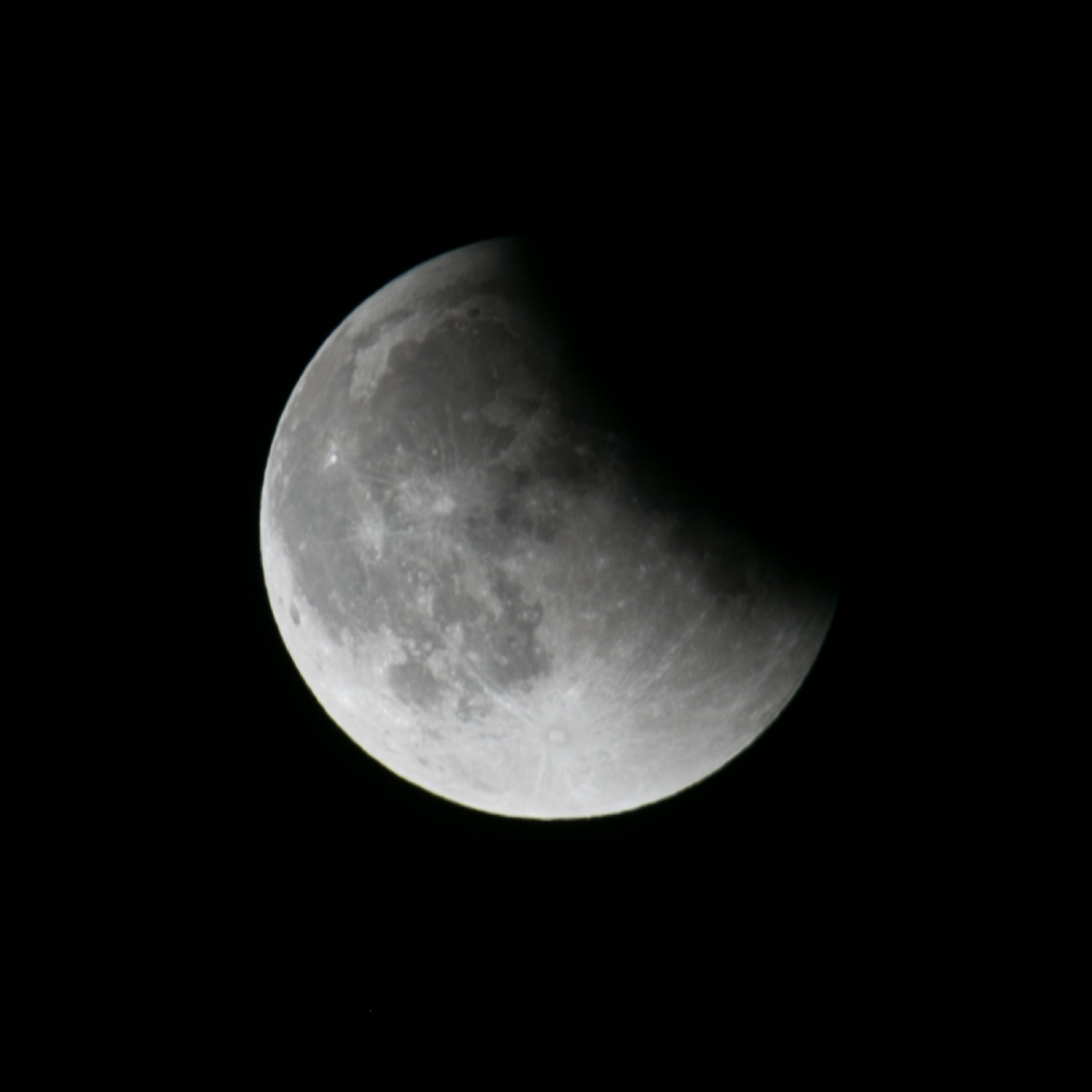 Reifel Moon Eclipse-31.jpg