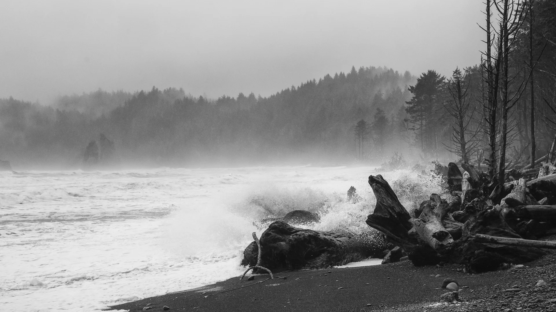 Waves crashing on Rialto Beach.