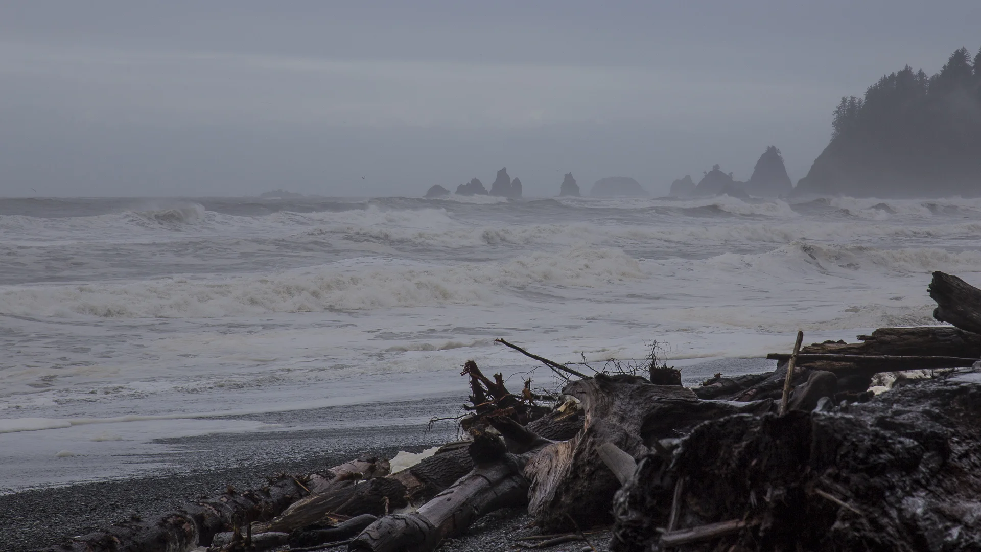 Olympic NP-13.jpg