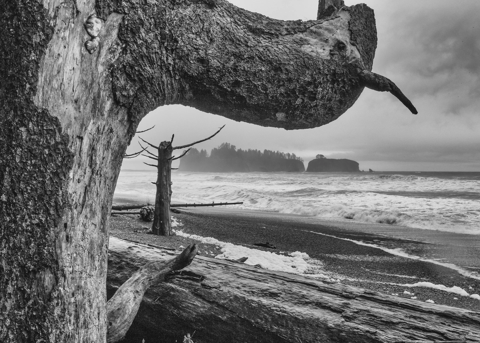 Rialto Beach.