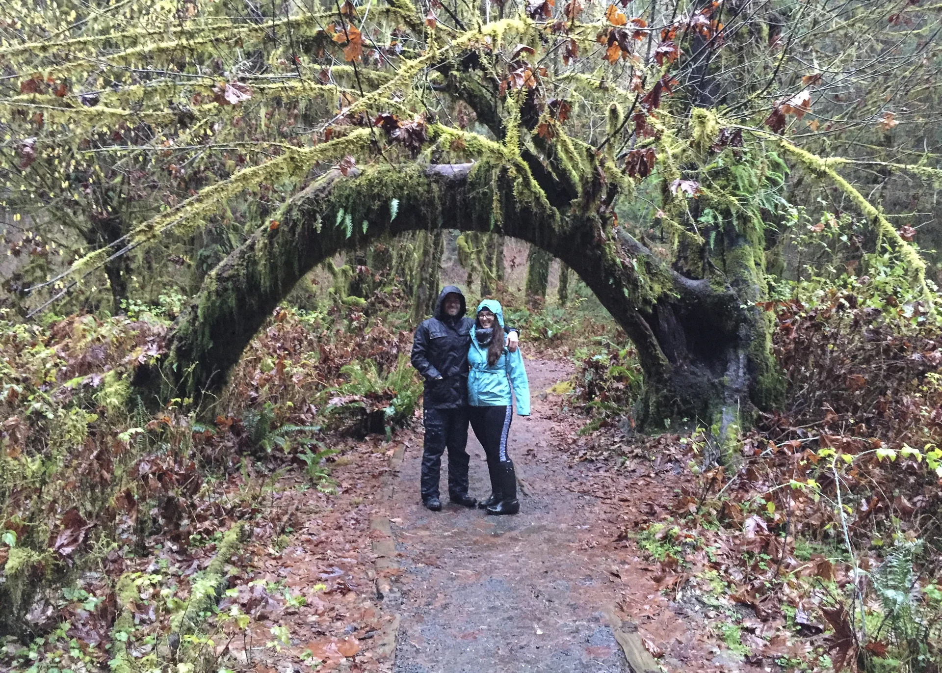 Olympic NP-25.jpg