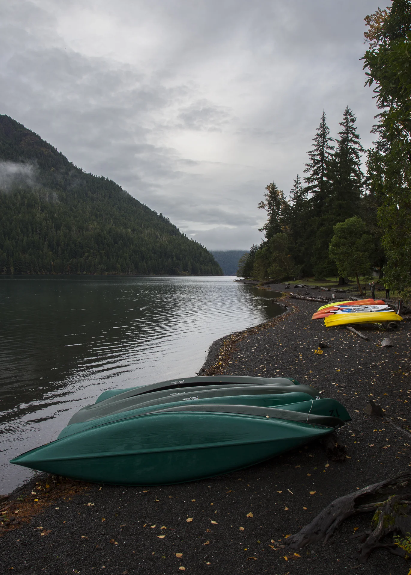 Olympic NP-37.jpg