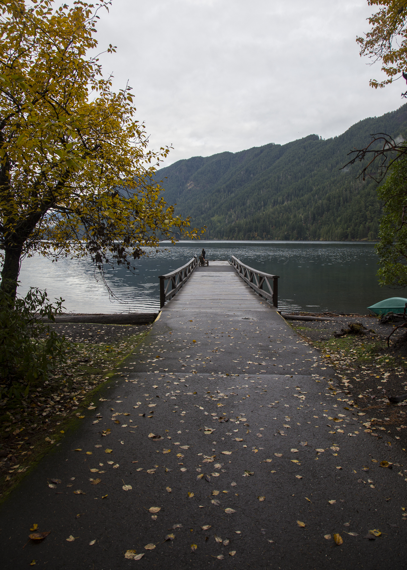Olympic NP-36.jpg