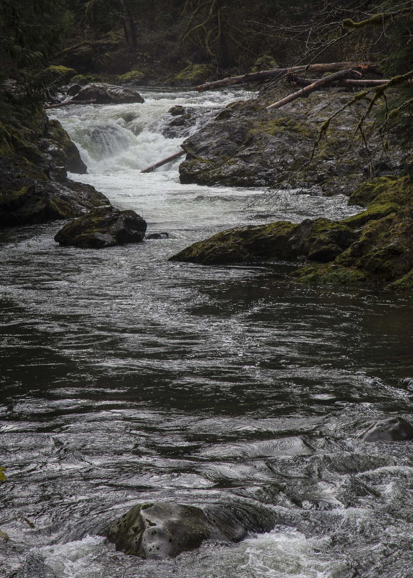 Salmon Cascades