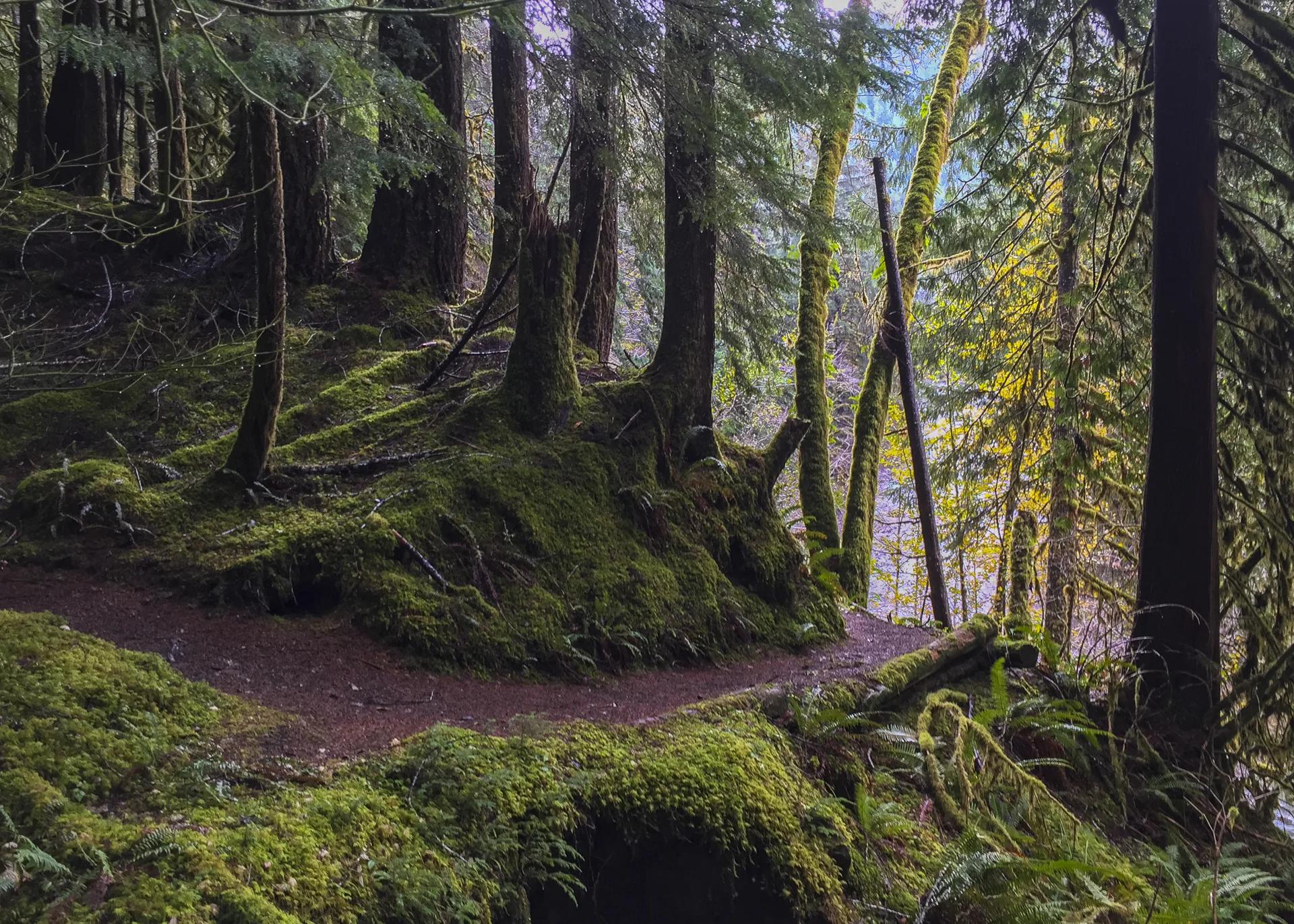 The light was quite amazing as we headed along the cliff-side portion of the trail.