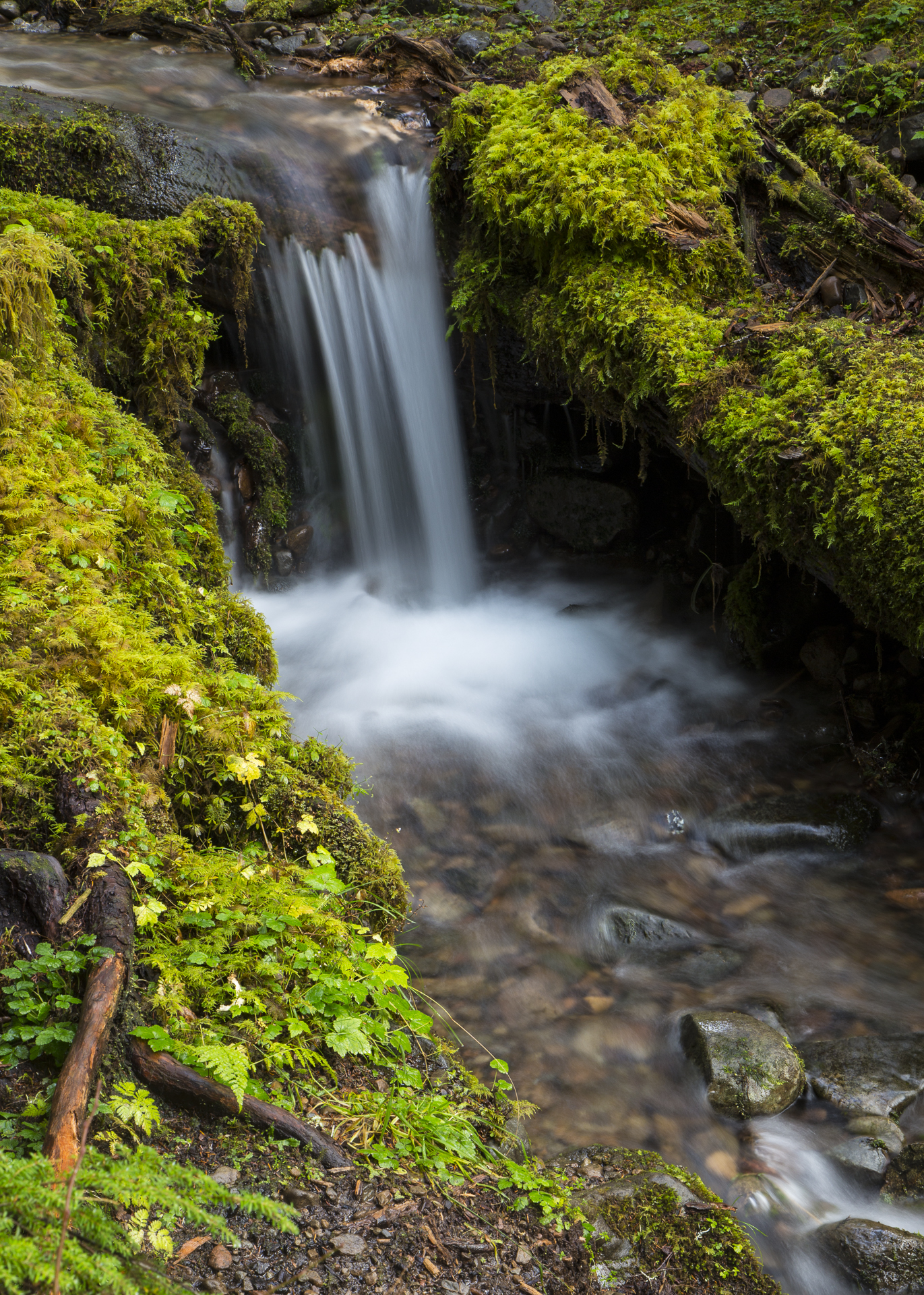 Olympic NP-65.jpg