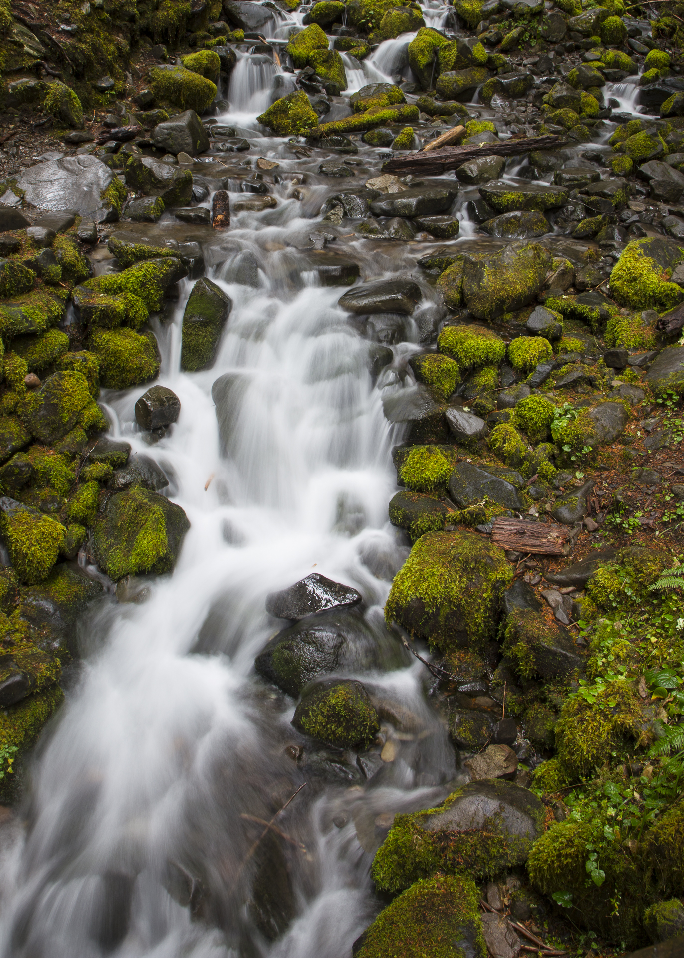 Olympic NP-66.jpg