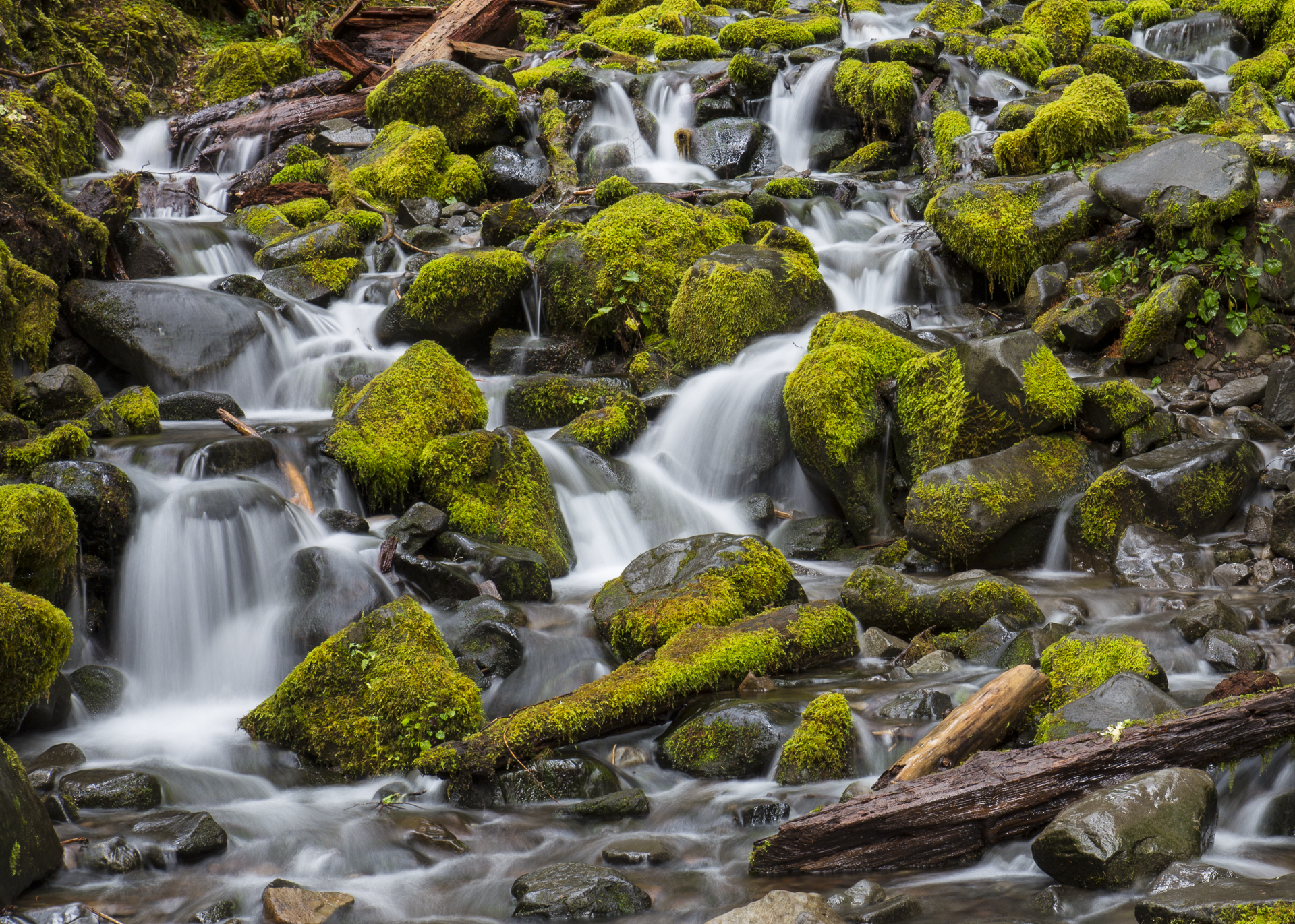 Olympic NP-67.jpg