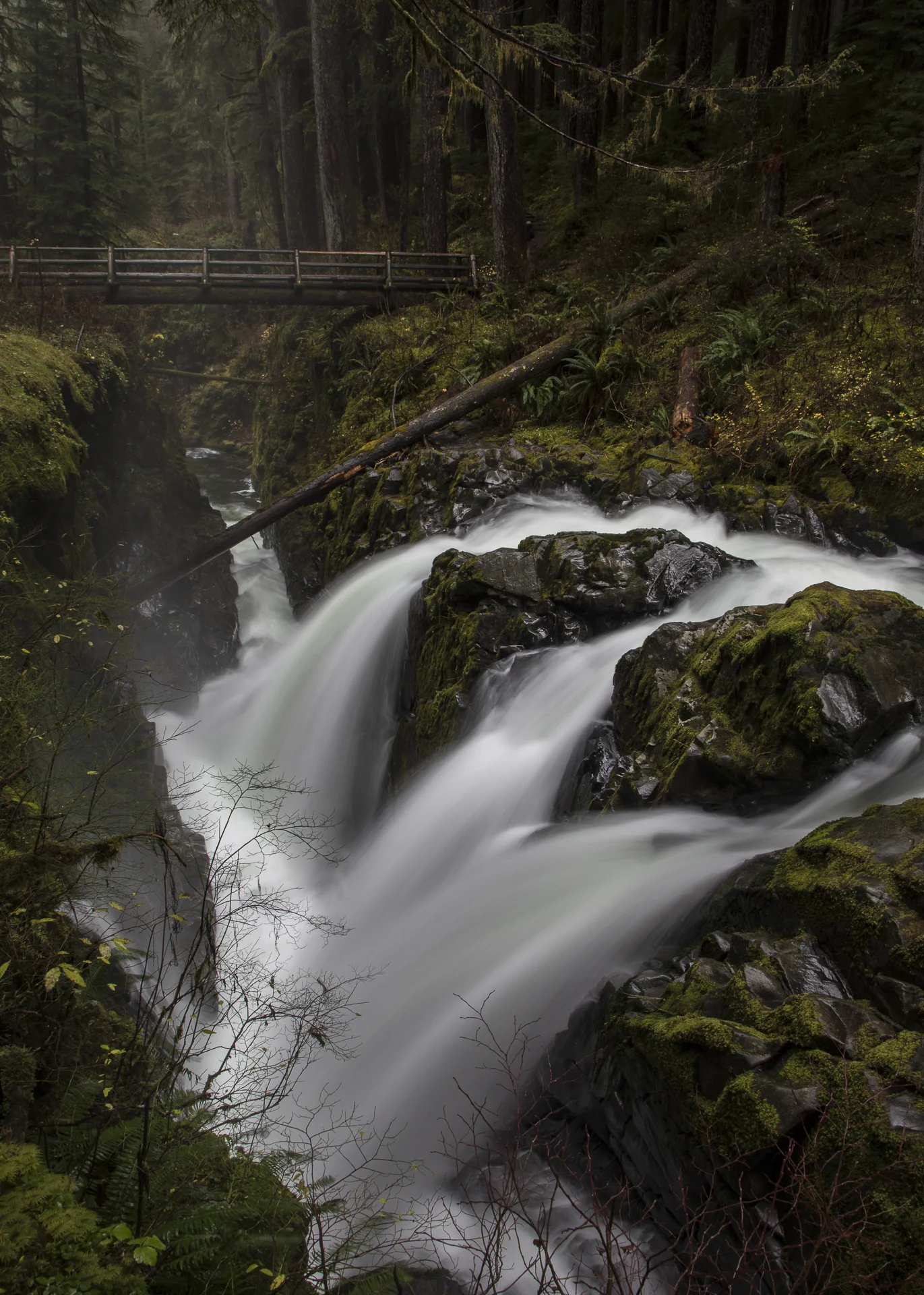 Sol Duc Falls