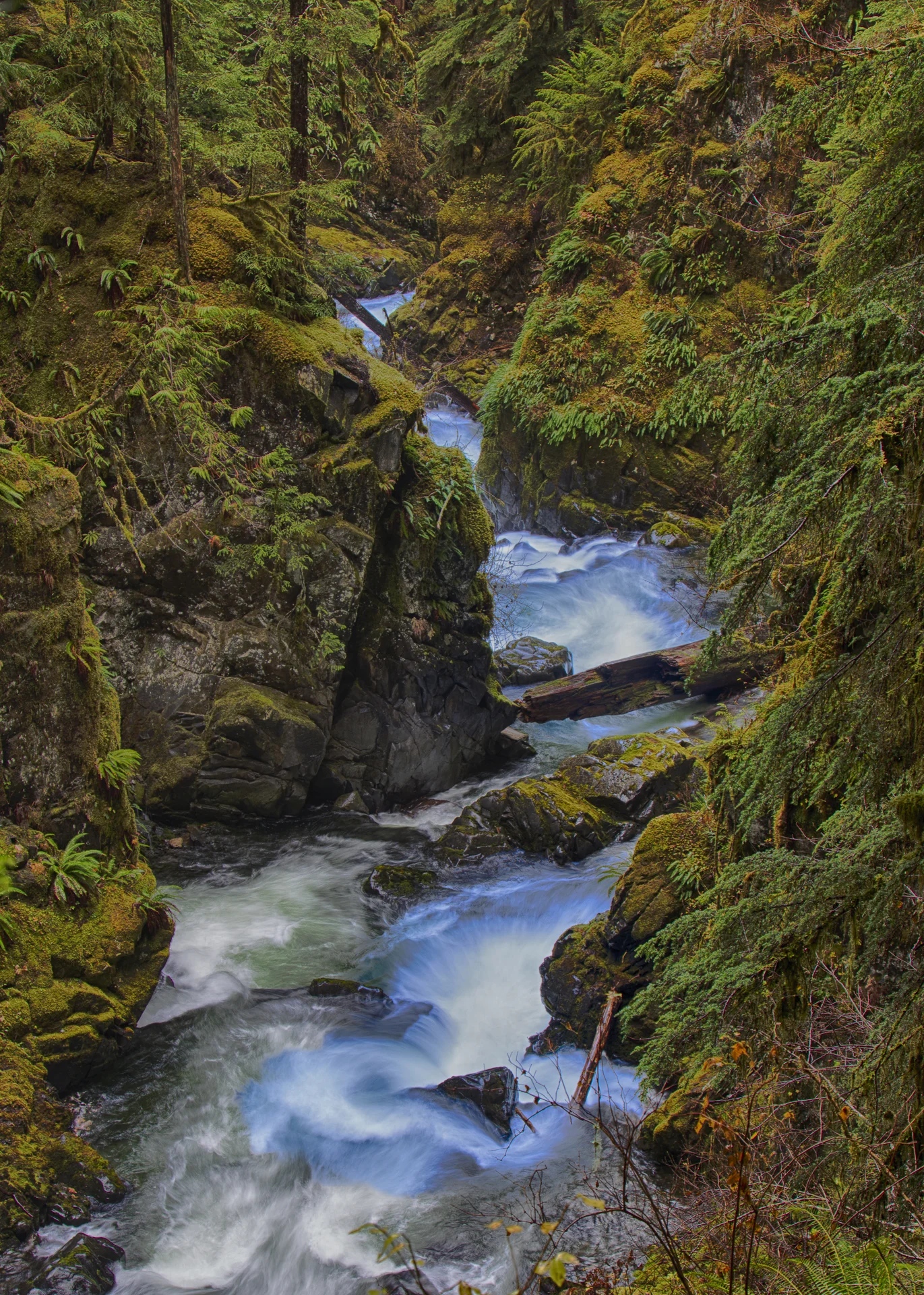 The river rushing away from Sol Duc Falls