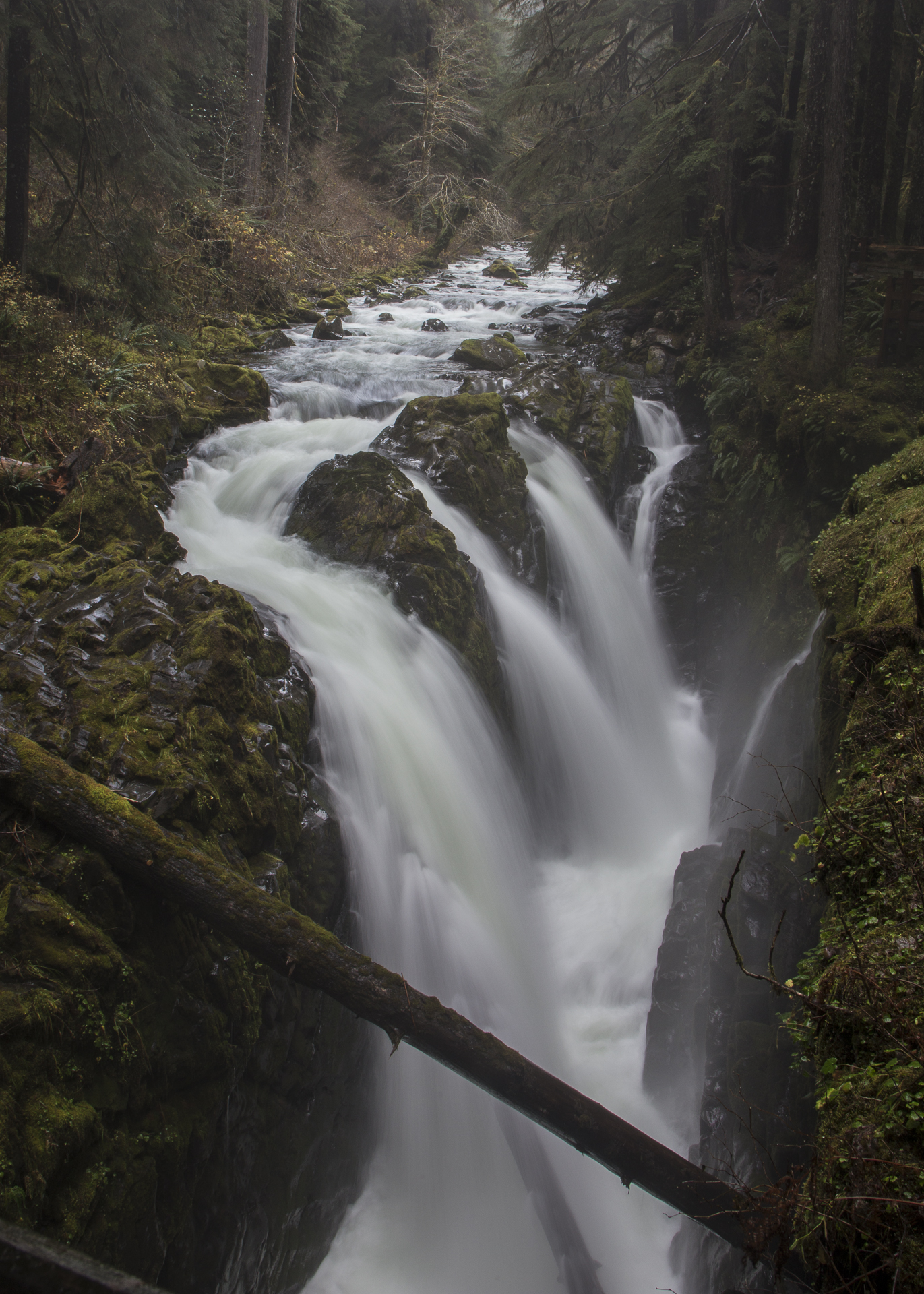 Looking upstream over Sol Duc Falls.