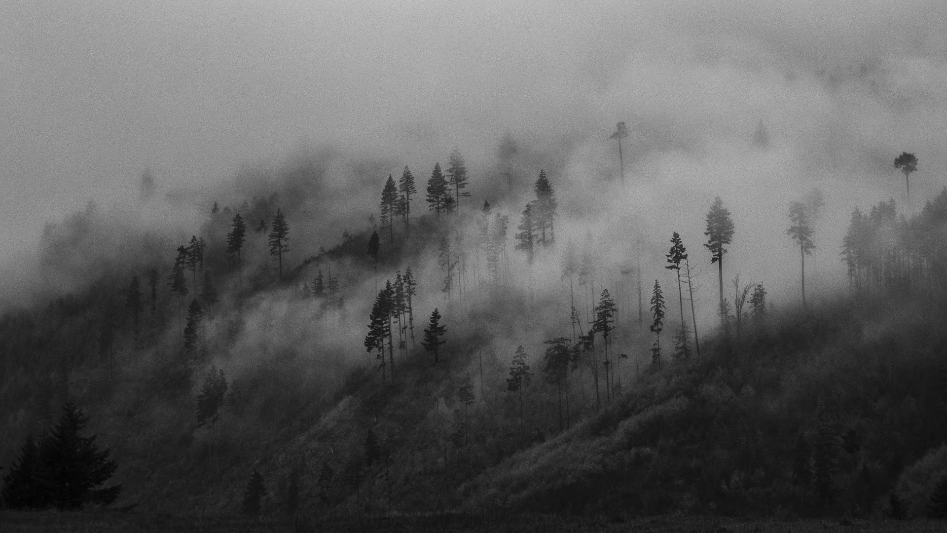 Clouds hanging low over the mountains.