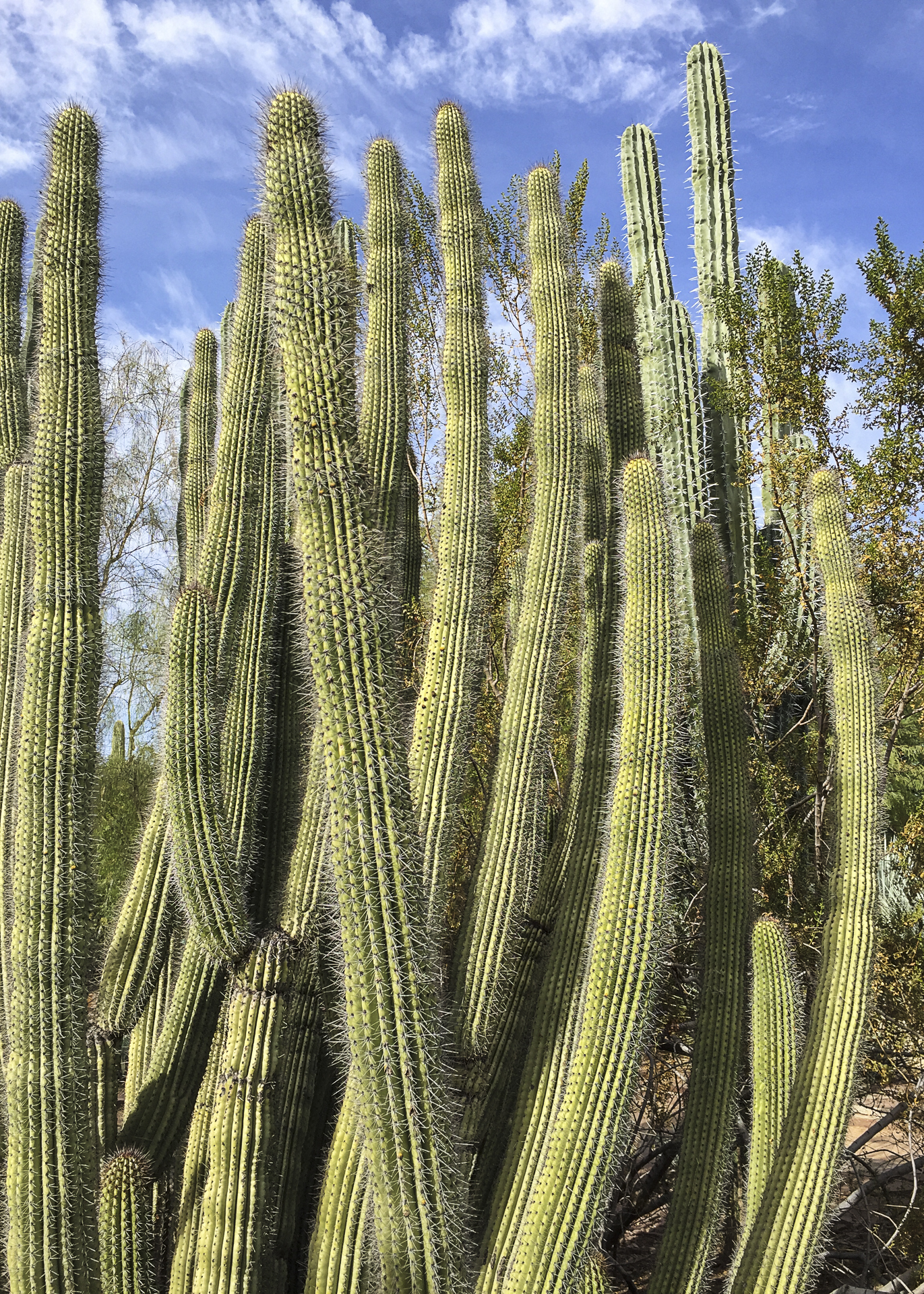 Scottsdale-10.jpg