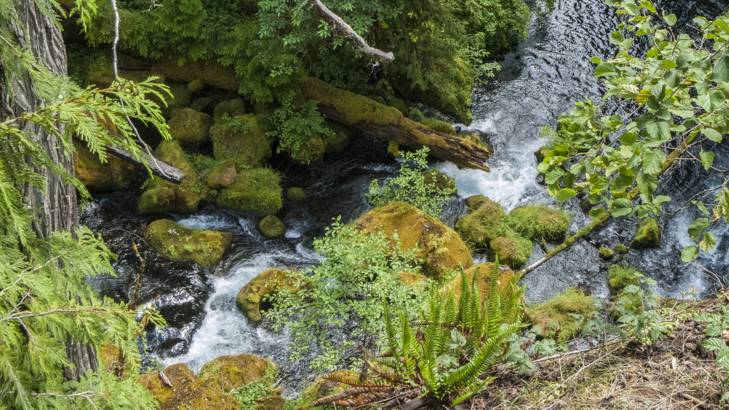 Hood River-10.jpg