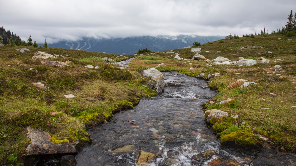  A small stream works it's way across the meadow. 