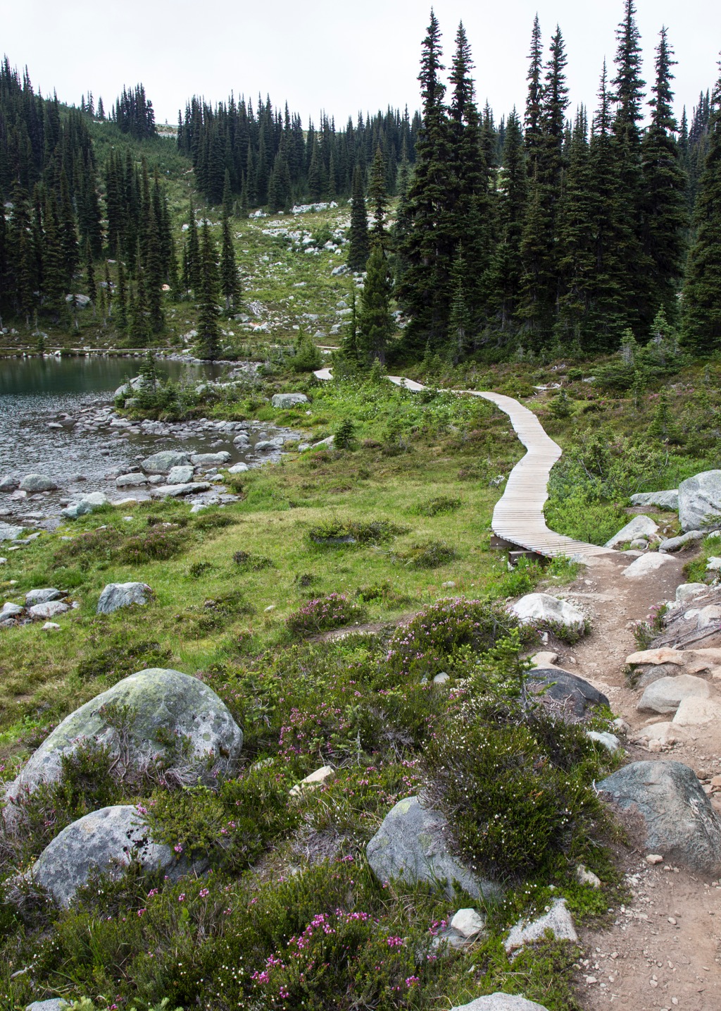  Coming to the end. A boardwalk along Harmony Lake, before one last climb up to the lodge. 