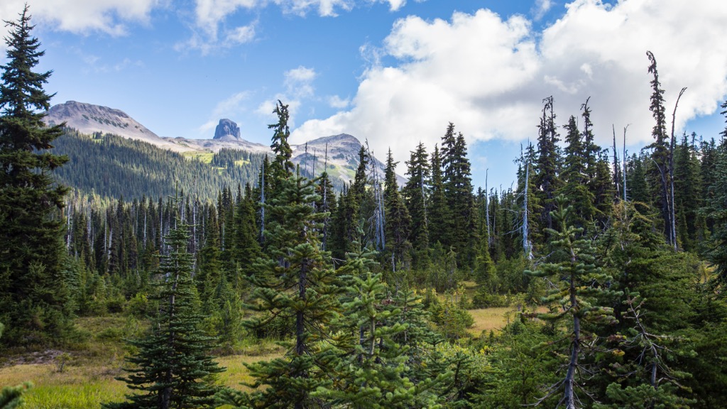 Garibaldi Lake - 3.jpg