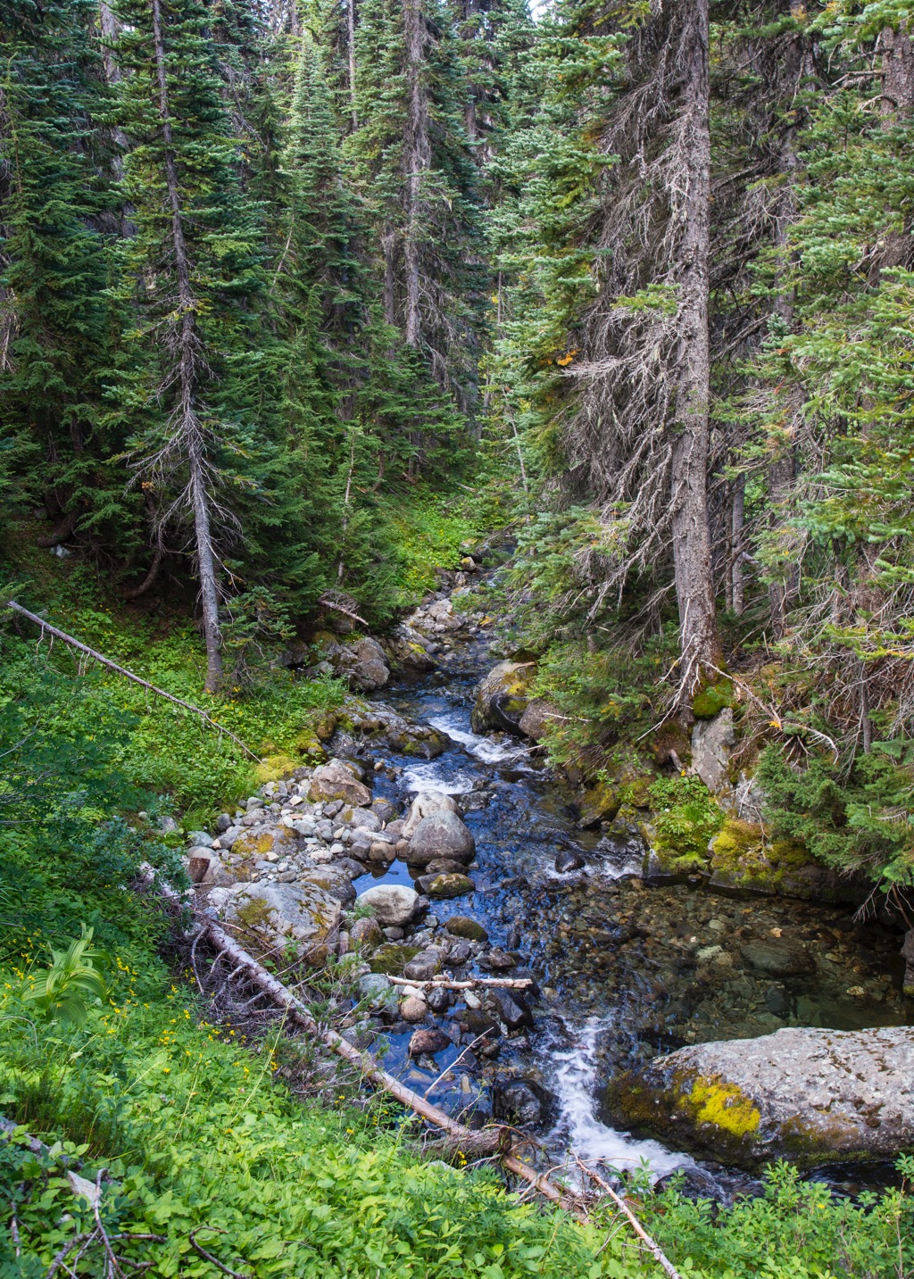 Garibaldi Lake - 4.jpg