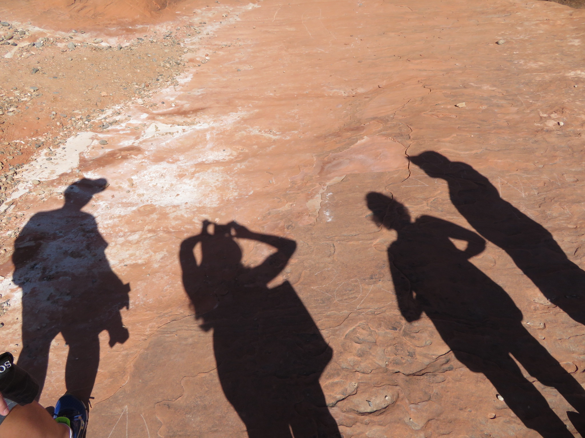 Justine's shadow art.