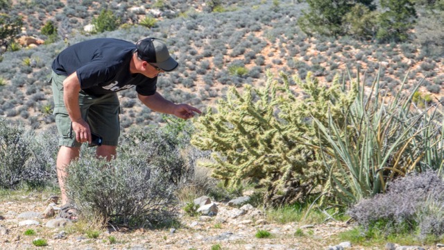 Yes, Shawn really had to see if the cactus was prickly...