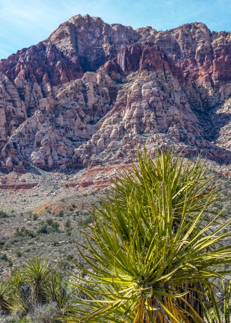 The scenery is just so spectacular.