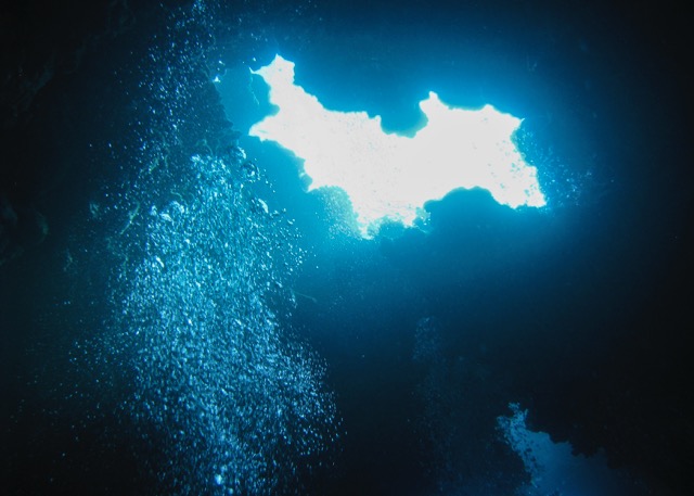 Maui Diving and Driving - 10.jpg